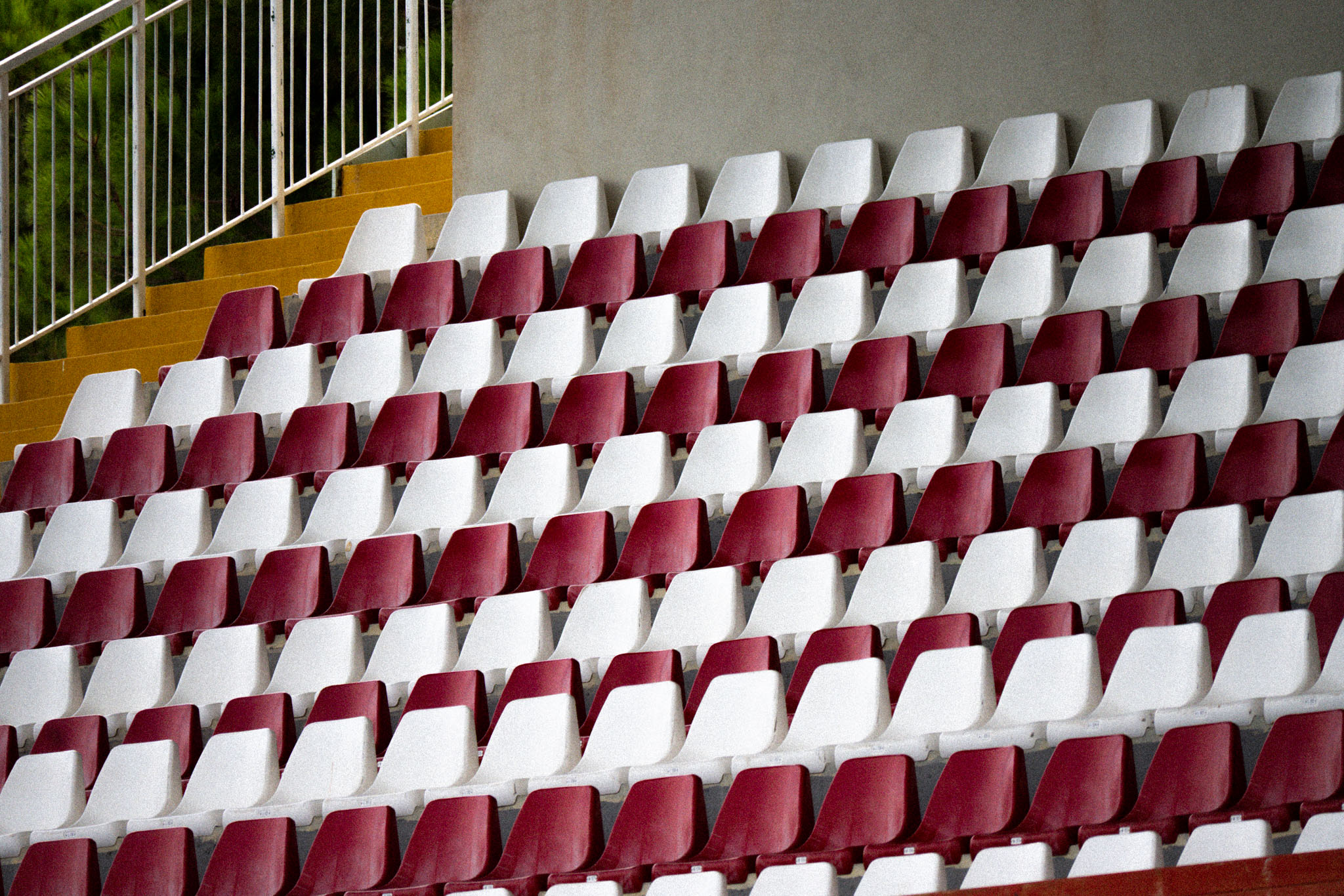 Stadio Carlo Zecchini 5